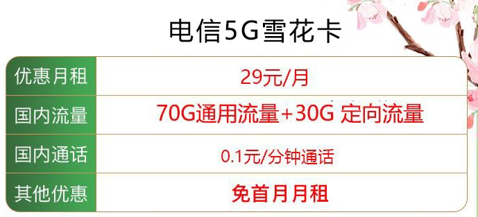 青岛电信5G雪花卡100G全国通用流量+0.1元/分钟通话+首月免月租 仅需29元