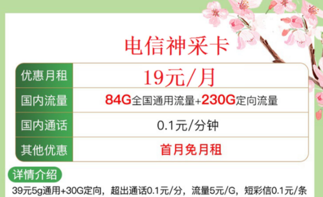 中国电信正规流量卡 【电信神采卡、极致卡】仅需19元首月免费全国通用手机上网卡